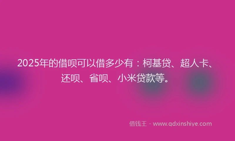 2025年的借呗可以借多少有：柯基贷、超人卡、还呗、省呗、小米贷款等。