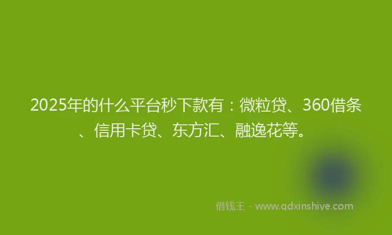 2025年的什么平台秒下款有：微粒贷、360借条、信用卡贷、东方汇、融逸花等。