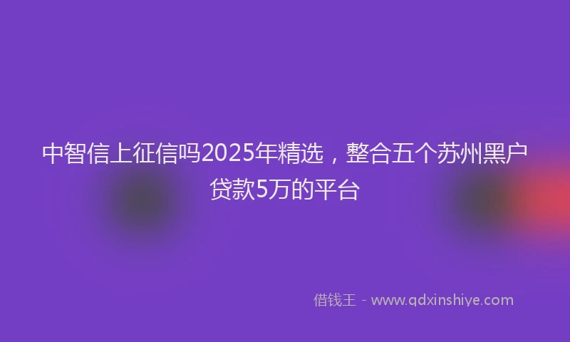 中智信上征信吗2025年精选，整合五个苏州黑户贷款5万的平台