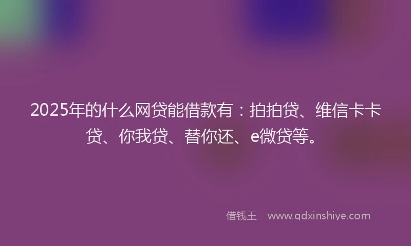 2025年的什么网贷能借款有：拍拍贷、维信卡卡贷、你我贷、替你还、e微贷等。