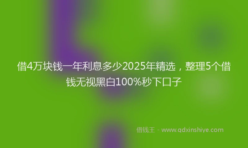 借4万块钱一年利息多少2025年精选，整理5个借钱无视黑白100%秒下口子