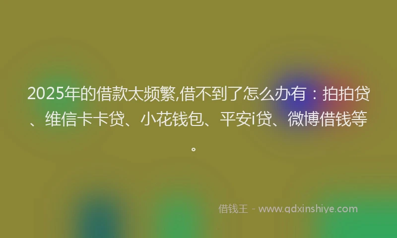 2025年的借款太频繁,借不到了怎么办有：拍拍贷、维信卡卡贷、小花钱包、平安i贷、微博借钱等。