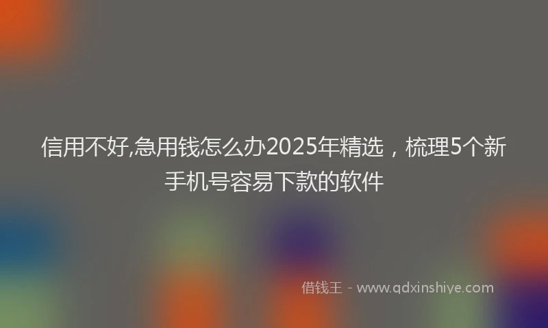 信用不好,急用钱怎么办2025年精选，梳理5个新手机号容易下款的软件