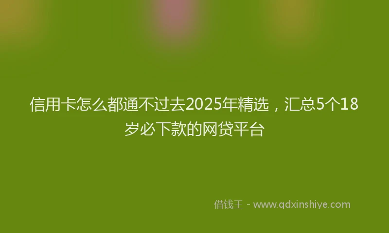 信用卡怎么都通不过去2025年精选，汇总5个18岁必下款的网贷平台