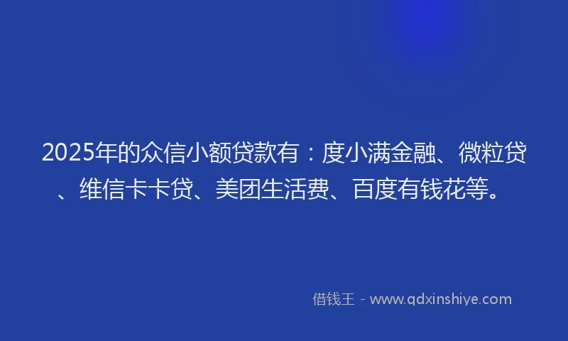 2025年的众信小额贷款有：度小满金融、微粒贷、维信卡卡贷、美团生活费、百度有钱花等。
