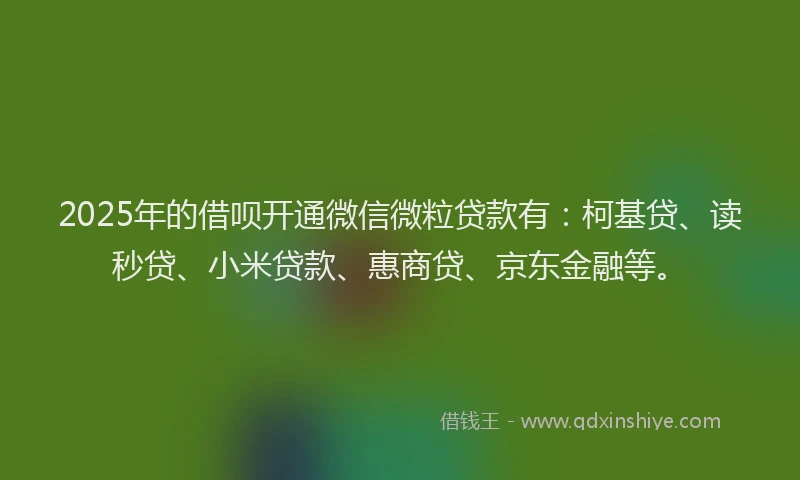 2025年的借呗开通微信微粒贷款有：柯基贷、读秒贷、小米贷款、惠商贷、京东金融等。