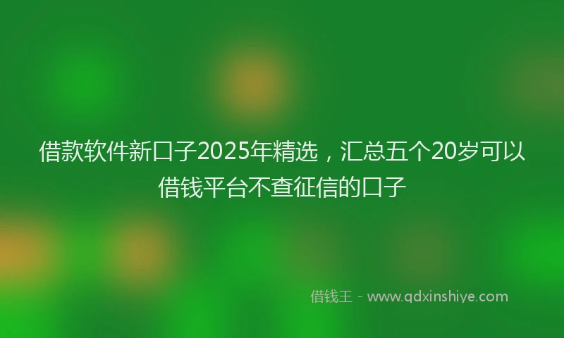 借款软件新口子2025年精选，汇总五个20岁可以借钱平台不查征信的口子
