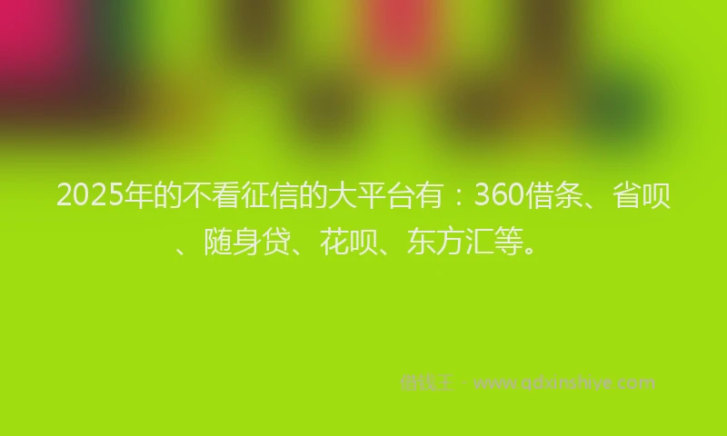 2025年的不看征信的大平台有：360借条、省呗、随身贷、花呗、东方汇等。