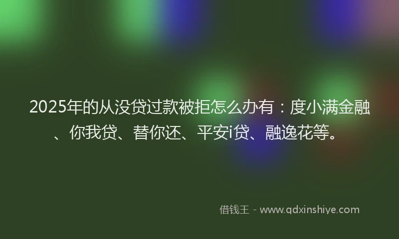 2025年的从没贷过款被拒怎么办有：度小满金融、你我贷、替你还、平安i贷、融逸花等。