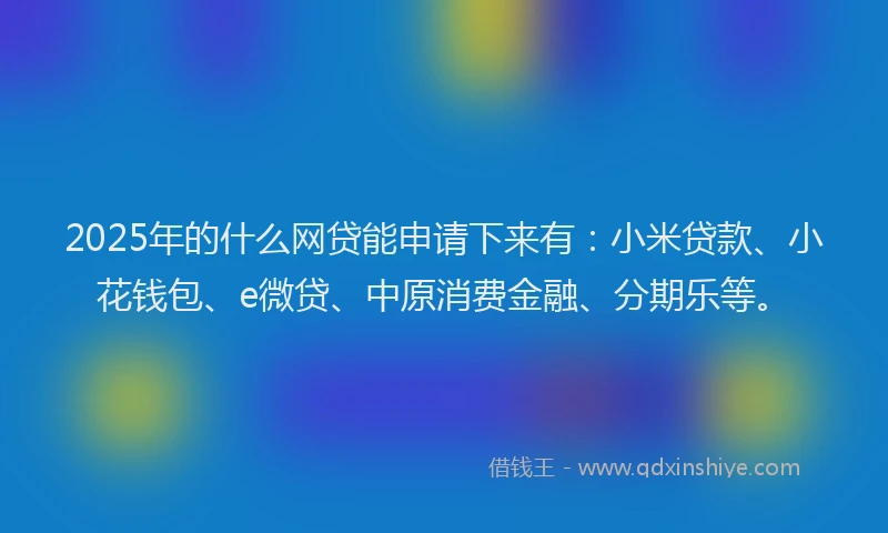 2025年的什么网贷能申请下来有：小米贷款、小花钱包、e微贷、中原消费金融、分期乐等。