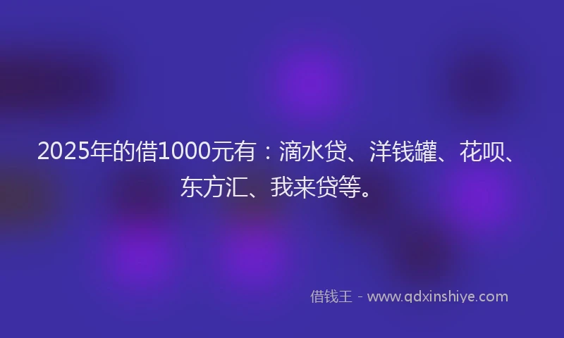 2025年的借1000元有：滴水贷、洋钱罐、花呗、东方汇、我来贷等。
