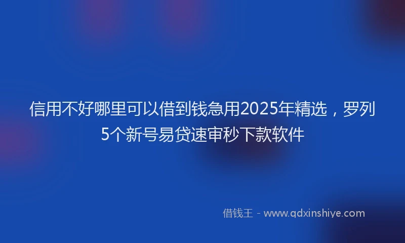 信用不好哪里可以借到钱急用2025年精选，罗列5个新号易贷速审秒下款软件