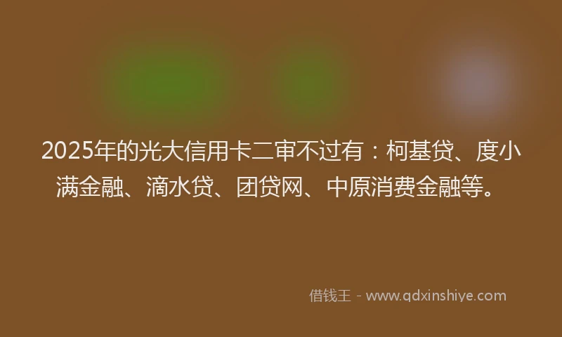 2025年的光大信用卡二审不过有：柯基贷、度小满金融、滴水贷、团贷网、中原消费金融等。