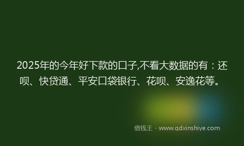 2025年的今年好下款的口子,不看大数据的有：还呗、快贷通、平安口袋银行、花呗、安逸花等。