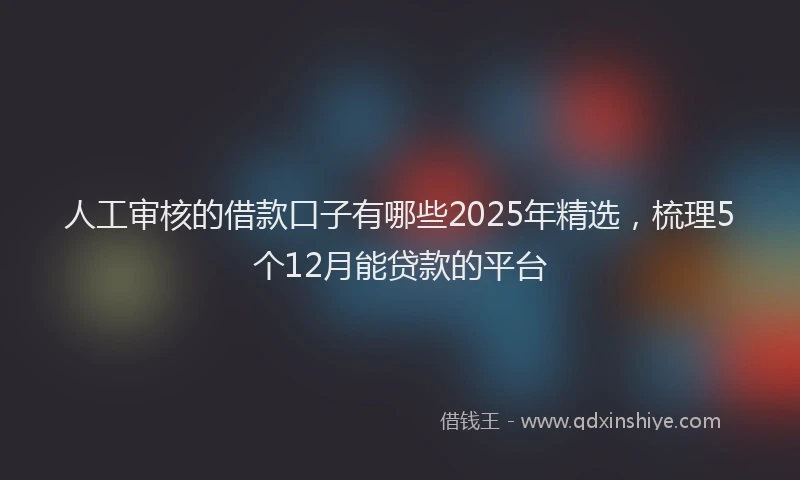 人工审核的借款口子有哪些2025年精选，梳理5个12月能贷款的平台