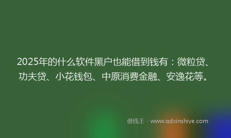 2025年的什么软件黑户也能借到钱有：微粒贷、功夫贷、小花钱包、中原消费金融、安逸花等。