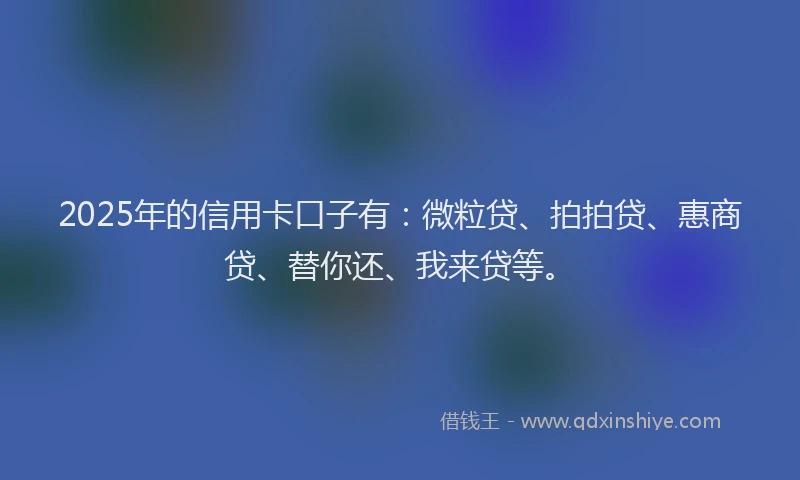 2025年的信用卡口子有：微粒贷、拍拍贷、惠商贷、替你还、我来贷等。