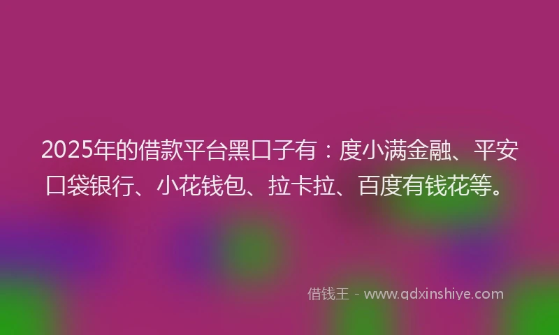 2025年的借款平台黑口子有：度小满金融、平安口袋银行、小花钱包、拉卡拉、百度有钱花等。