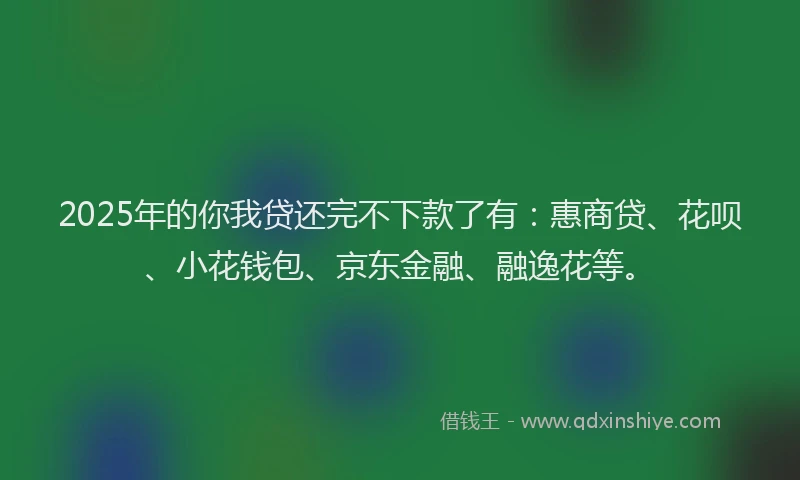 2025年的你我贷还完不下款了有：惠商贷、花呗、小花钱包、京东金融、融逸花等。