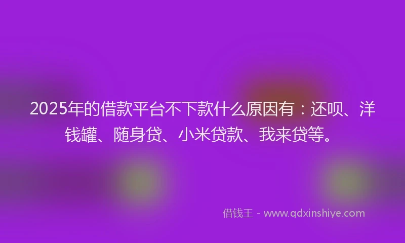 2025年的借款平台不下款什么原因有：还呗、洋钱罐、随身贷、小米贷款、我来贷等。