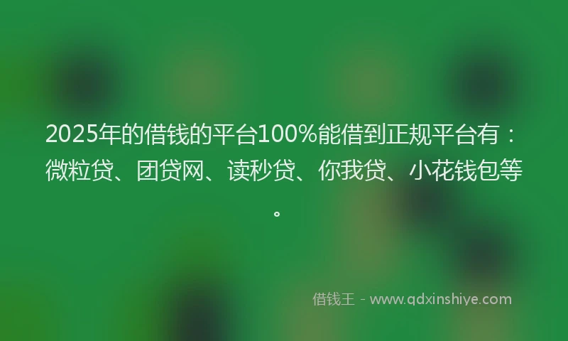 2025年的借钱的平台100%能借到正规平台有：微粒贷、团贷网、读秒贷、你我贷、小花钱包等。