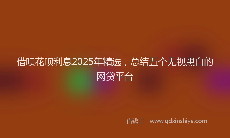 借呗花呗利息2025年精选，总结五个无视黑白的网贷平台