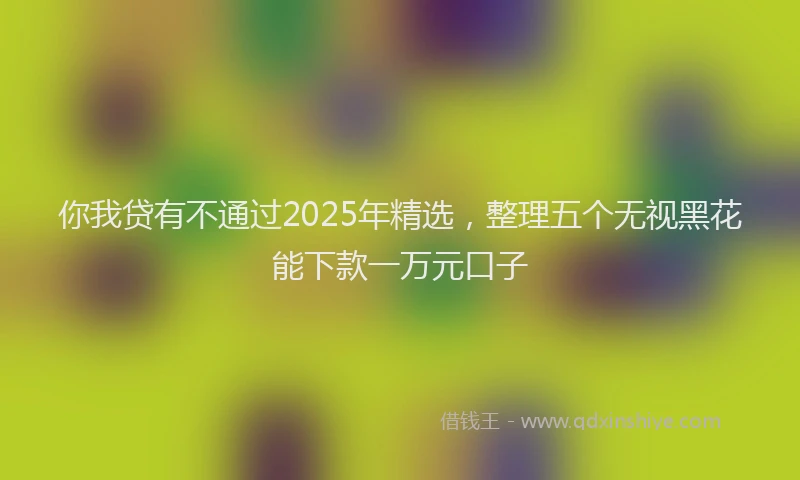 你我贷有不通过2025年精选，整理五个无视黑花能下款一万元口子