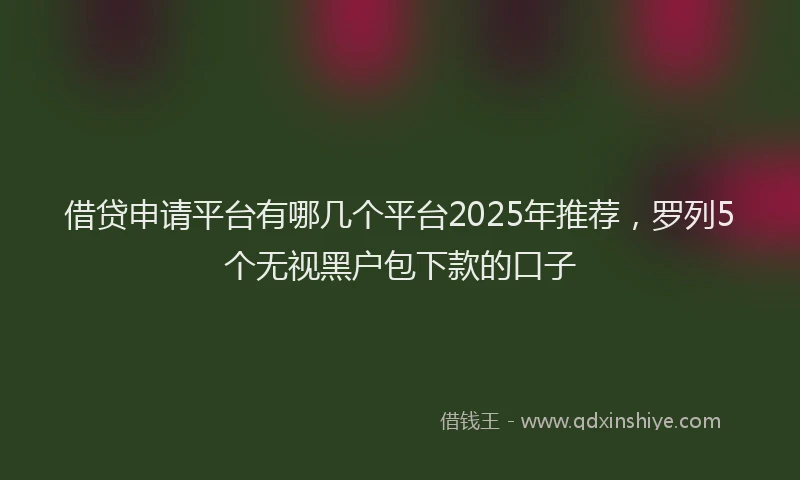 借贷申请平台有哪几个平台2025年推荐，罗列5个无视黑户包下款的口子