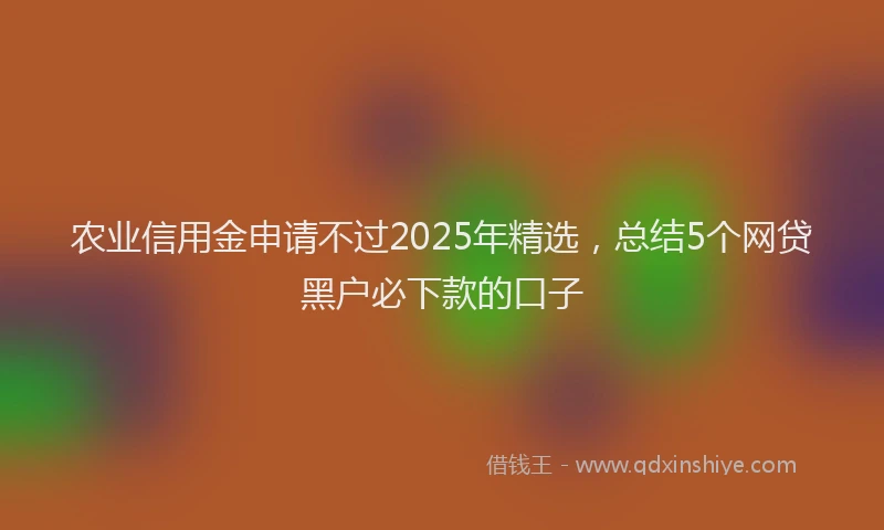 农业信用金申请不过2025年精选，总结5个网贷黑户必下款的口子