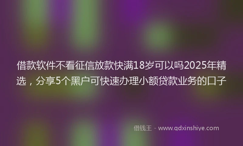 借款软件不看征信放款快满18岁可以吗2025年精选，分享5个黑户可快速办理小额贷款业务的口子