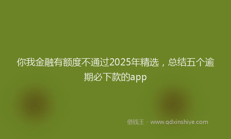 你我金融有额度不通过2025年精选，总结五个逾期必下款的app