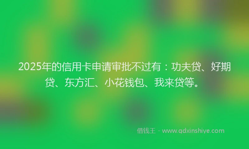 2025年的信用卡申请审批不过有：功夫贷、好期贷、东方汇、小花钱包、我来贷等。