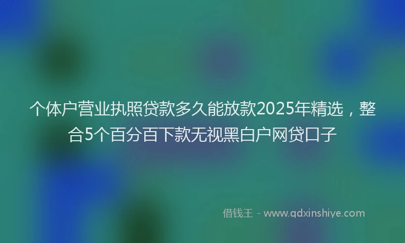 个体户营业执照贷款多久能放款2025年精选，整合5个百分百下款无视黑白户网贷口子