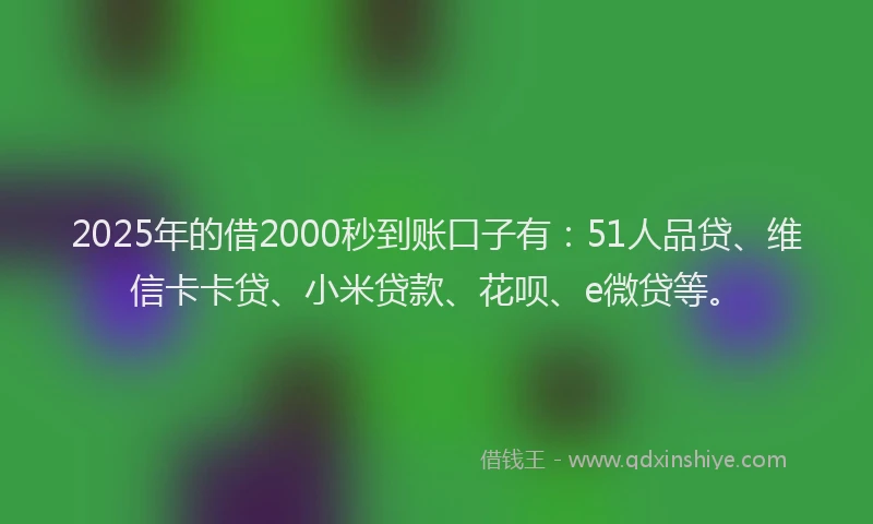 2025年的借2000秒到账口子有：51人品贷、维信卡卡贷、小米贷款、花呗、e微贷等。