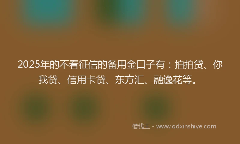 2025年的不看征信的备用金口子有：拍拍贷、你我贷、信用卡贷、东方汇、融逸花等。