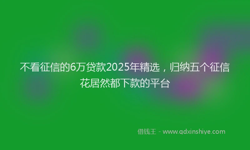 不看征信的6万贷款2025年精选，归纳五个征信花居然都下款的平台