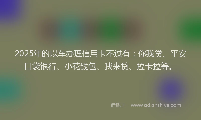 2025年的以车办理信用卡不过有：你我贷、平安口袋银行、小花钱包、我来贷、拉卡拉等。