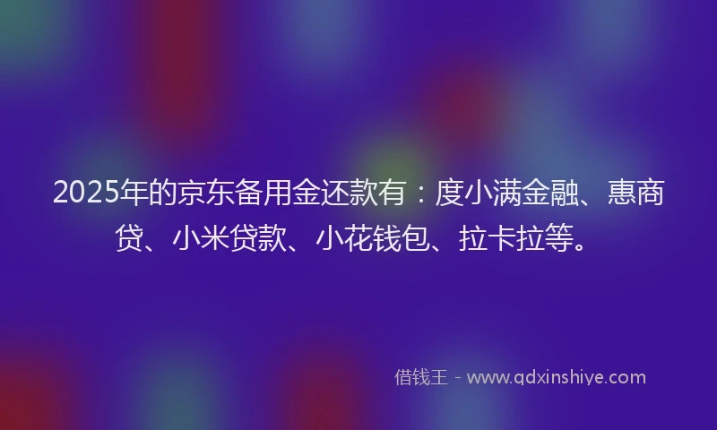 2025年的京东备用金还款有：度小满金融、惠商贷、小米贷款、小花钱包、拉卡拉等。