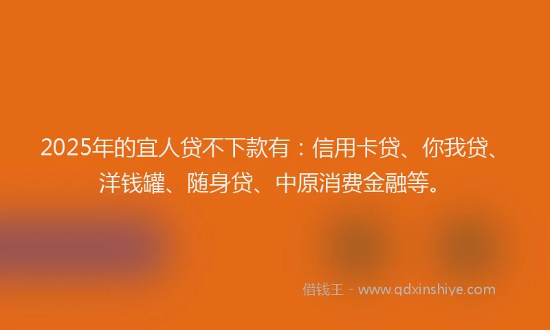 2025年的宜人贷不下款有：信用卡贷、你我贷、洋钱罐、随身贷、中原消费金融等。