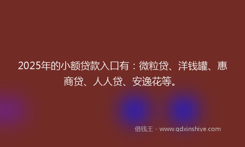2025年的小额贷款入口有：微粒贷、洋钱罐、惠商贷、人人贷、安逸花等。