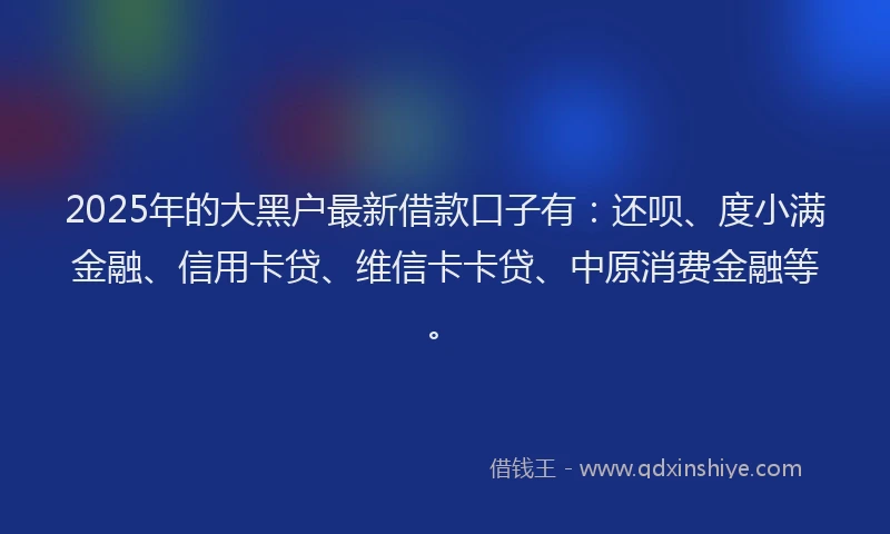 2025年的大黑户最新借款口子有：还呗、度小满金融、信用卡贷、维信卡卡贷、中原消费金融等。