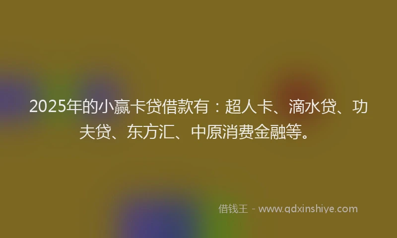 2025年的小赢卡贷借款有：超人卡、滴水贷、功夫贷、东方汇、中原消费金融等。