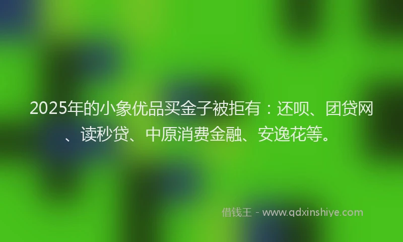 2025年的小象优品买金子被拒有：还呗、团贷网、读秒贷、中原消费金融、安逸花等。