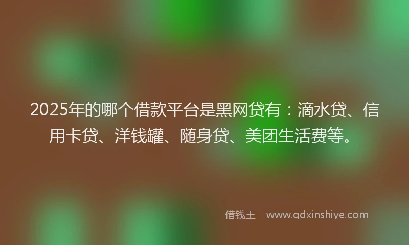 2025年的哪个借款平台是黑网贷有：滴水贷、信用卡贷、洋钱罐、随身贷、美团生活费等。