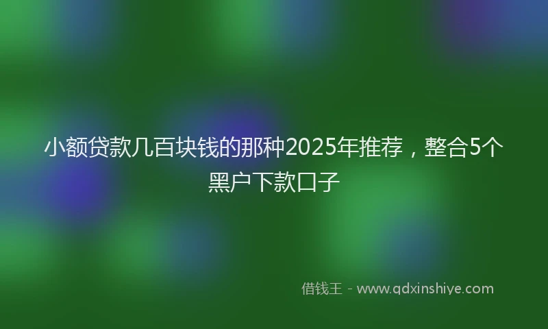 小额贷款几百块钱的那种2025年推荐，整合5个黑户下款口子