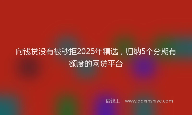 向钱贷没有被秒拒2025年精选，归纳5个分期有额度的网贷平台