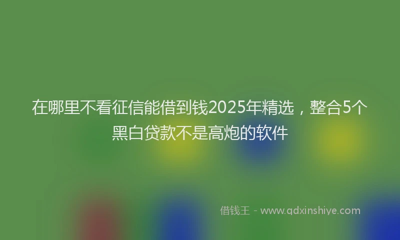 在哪里不看征信能借到钱2025年精选，整合5个黑白贷款不是高炮的软件