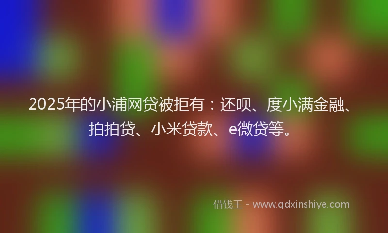 2025年的小浦网贷被拒有：还呗、度小满金融、拍拍贷、小米贷款、e微贷等。