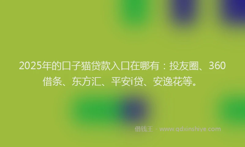 2025年的口子猫贷款入口在哪有：投友圈、360借条、东方汇、平安i贷、安逸花等。