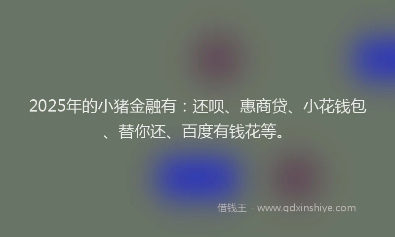 2025年的小猪金融有：还呗、惠商贷、小花钱包、替你还、百度有钱花等。